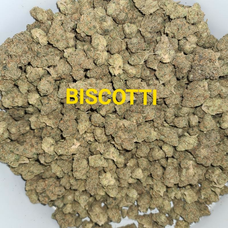 UK BUD'S 5