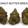 PEANUT BUTTER BREATH