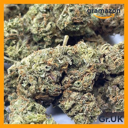 *TROPICAL CHERRY* 10% EXTRA - FREE SHIPPING