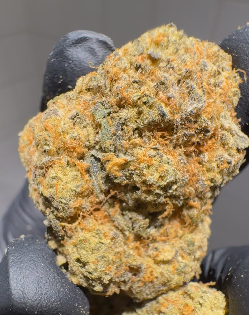 BARGAIN BUDS