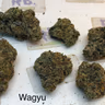 Top Shelf Cali AAA