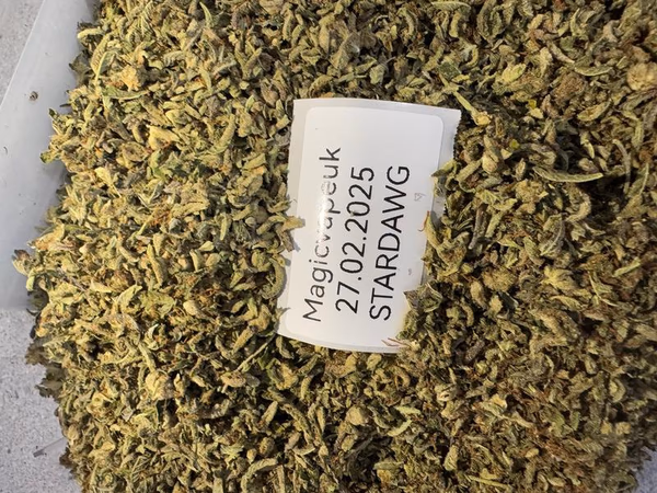 CALI TRIM SHAKE TROPICALLY NERDS image