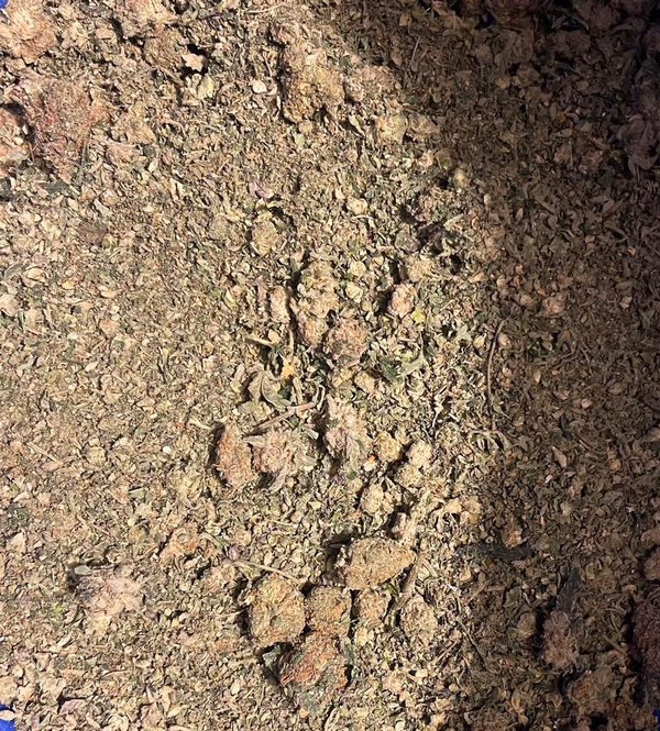 Top quality shake - see description for flavours.