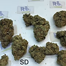 STAR DAWG GRADE A+