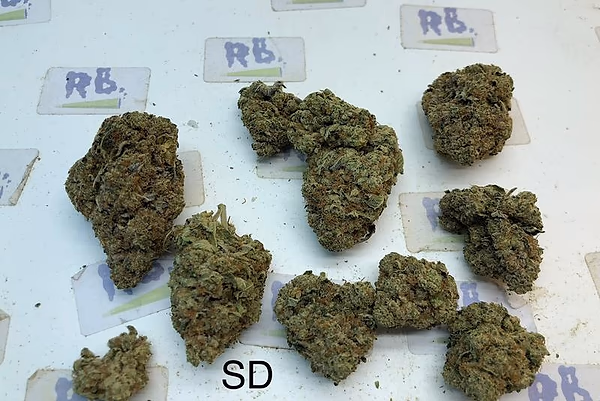 STAR DAWG GRADE A+