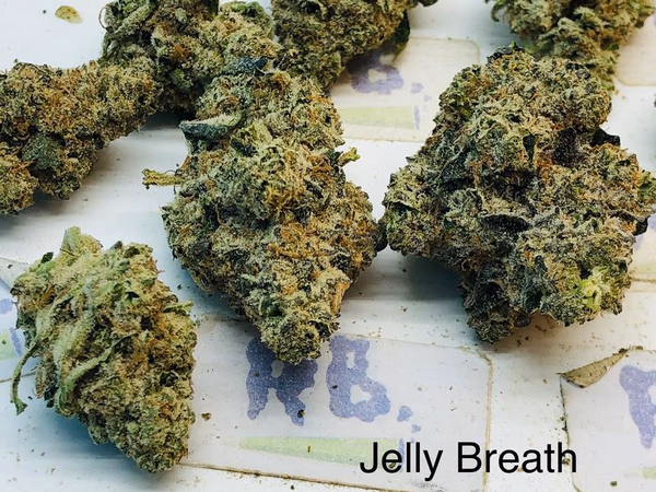 JELLY BREATH image