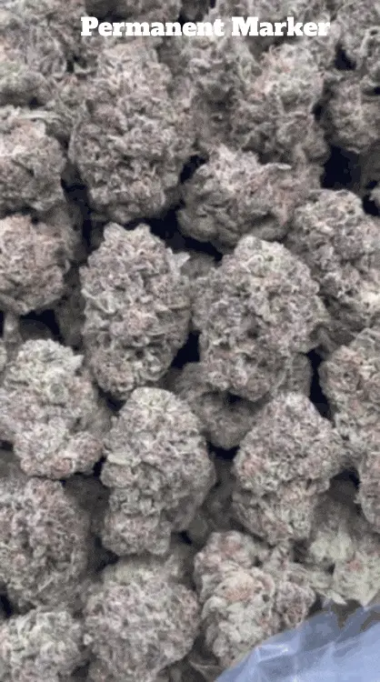 Cali Mids - Loose Import 🇺🇸 image