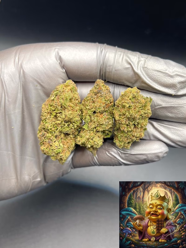 HINDU KUSH