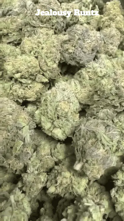 Cali Mids - Luźny import 🇺🇸