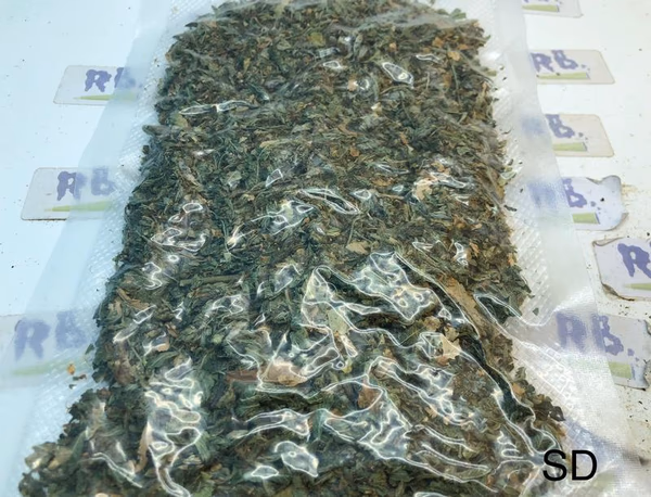 Stardawg Shake/Dust image