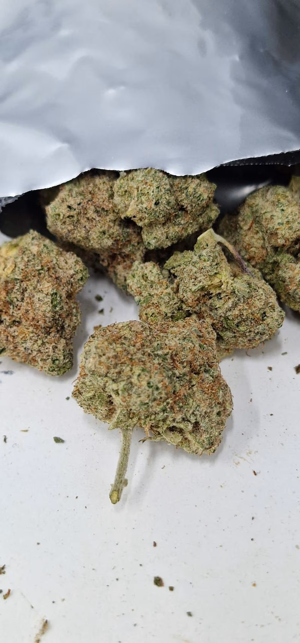 Permanent Marker - Indoor Grown Dense Terpy Buds