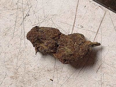 Review image 2