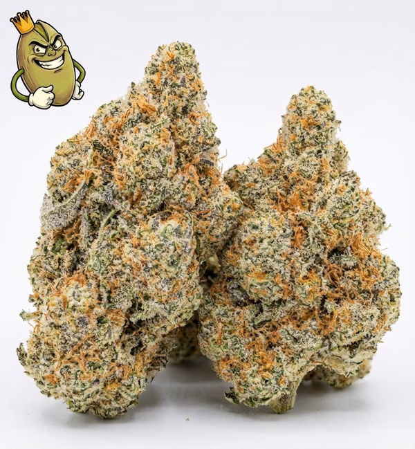 ICE CREAM CAKE - TOPSHELF UK