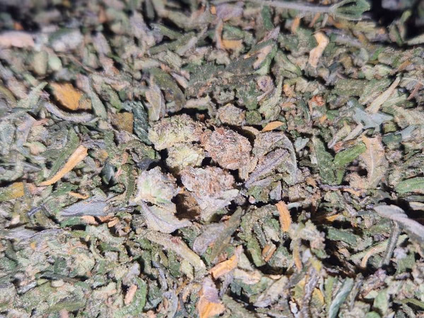 Shake n trim — Shake