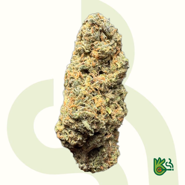 G13 Haze