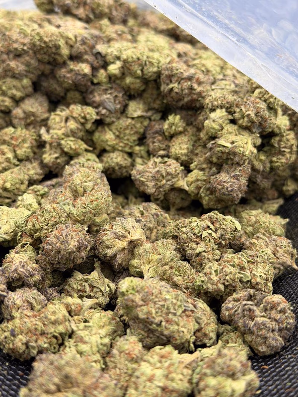 Exclusive Gelato cake