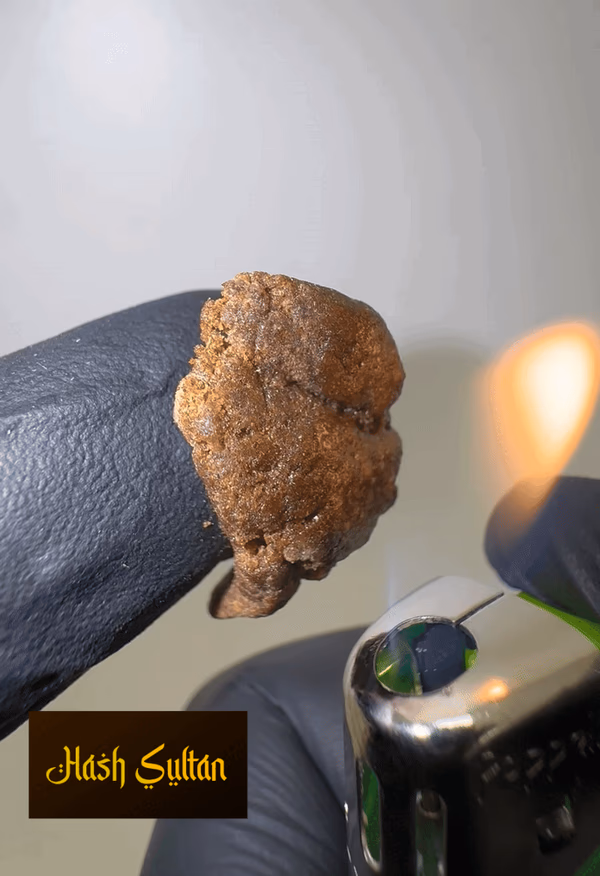 3x Filter Premium Hash