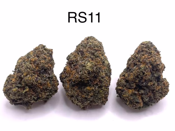 RS11