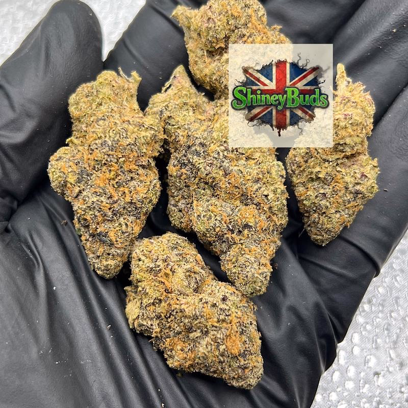 🇺🇸 Dark Matter 2