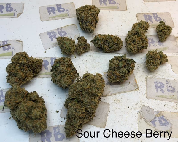 Sour Cheese Berry — Flower