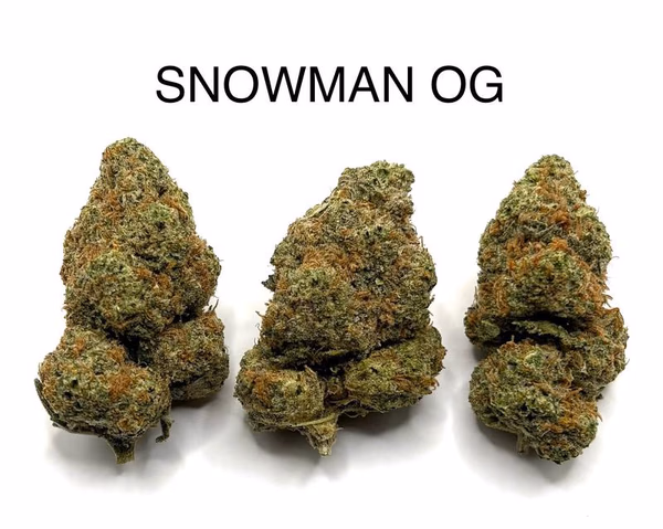 SNOWMAN OG
