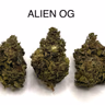 ALIEN OG