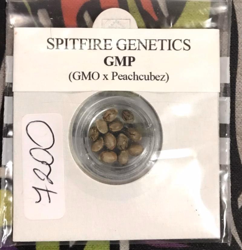 Spitfire Genetics 3