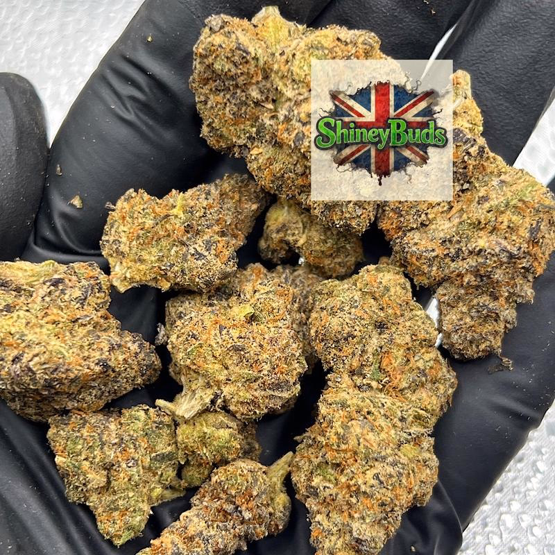 🇺🇸 Lemon Upz 2