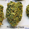Pineapple Haze