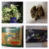 Sherbet banger organic budget bud