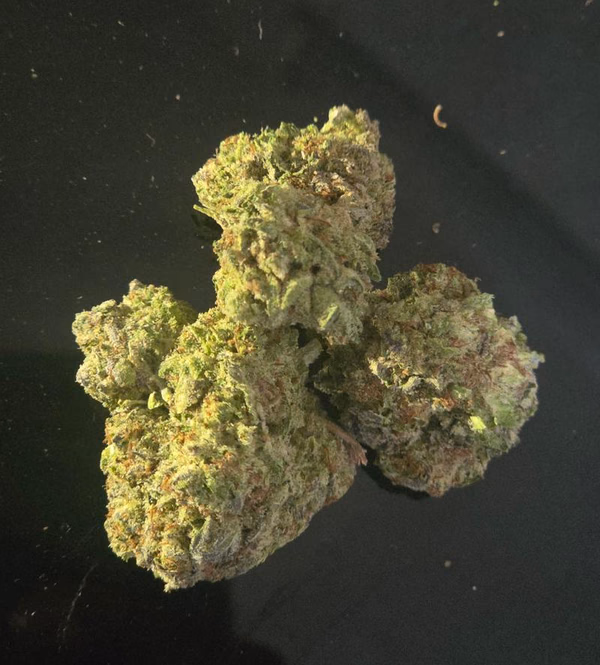 Tropical Nerdz
