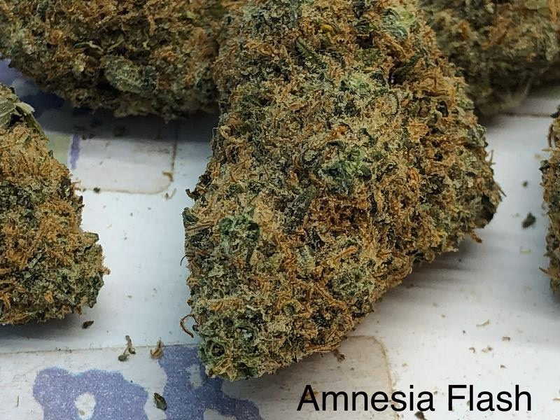 Amnesia Flash Top Shelf UK