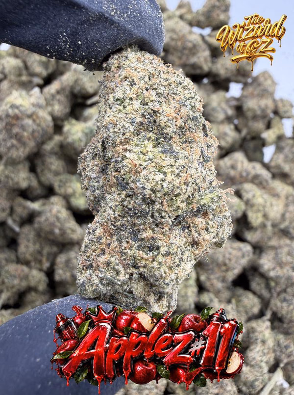 Jungle Boys Strain: Applez #11