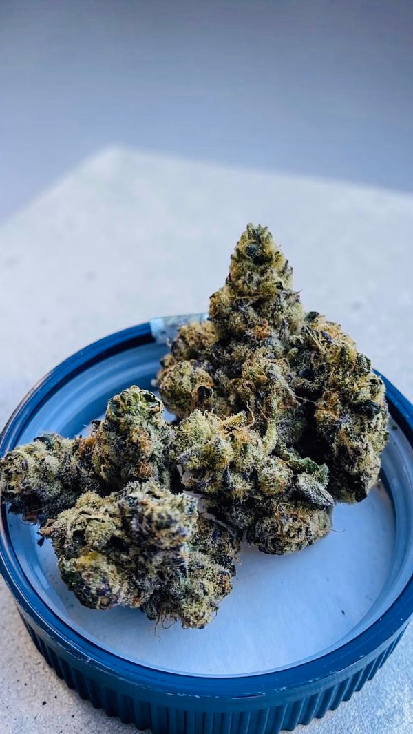 👑 ROYAL SHERBET (Premium UK Homegrown) FREE TRACKED 24 — Flower