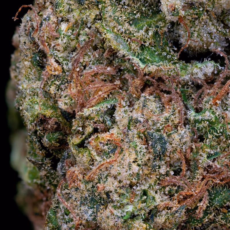 Banana Cream