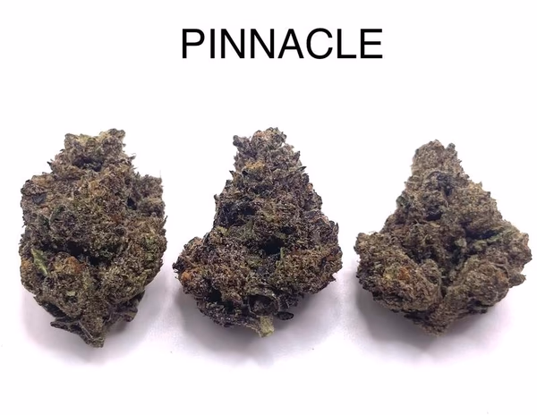 PINNACLE