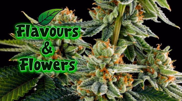 Flavours & Flowers