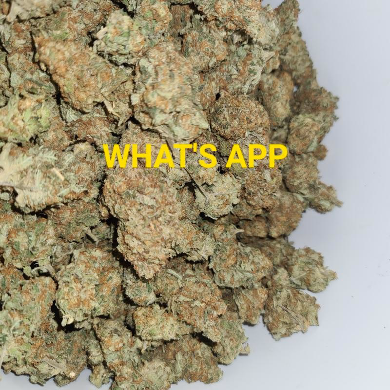 UK BUD'S 4
