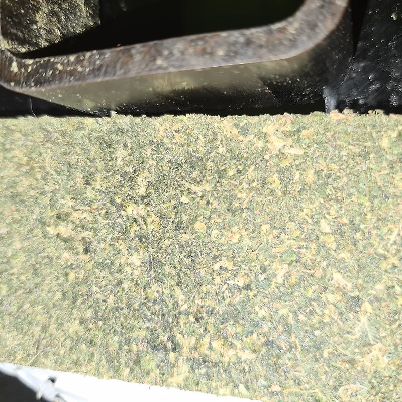 Skunk Bars