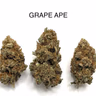 GRAPE APE