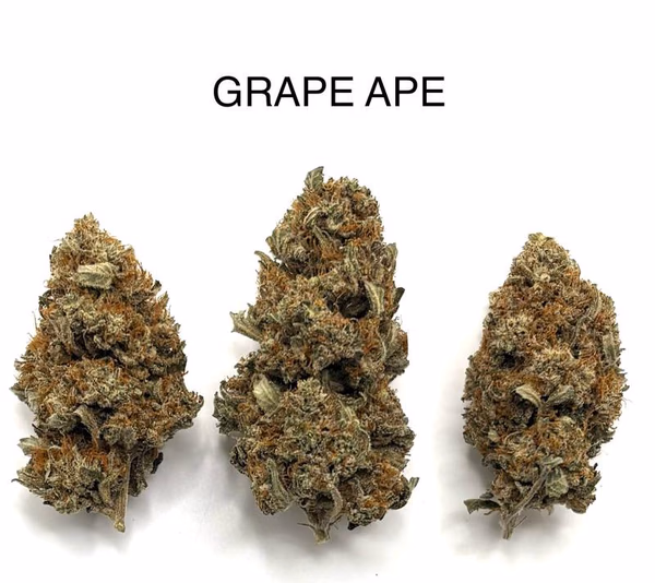 GRAPE APE
