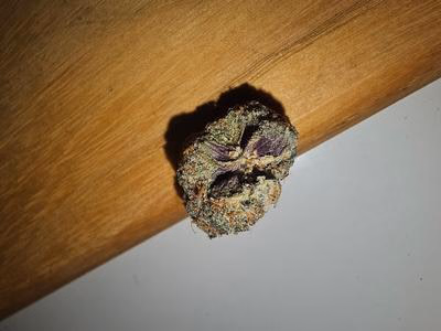 WHITE RUNTZ - TOPSHELF £140 AN OUNCE