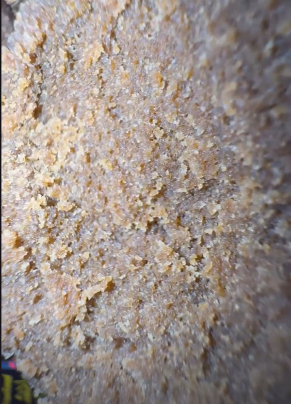 HASHASSINE | Premium Frozen