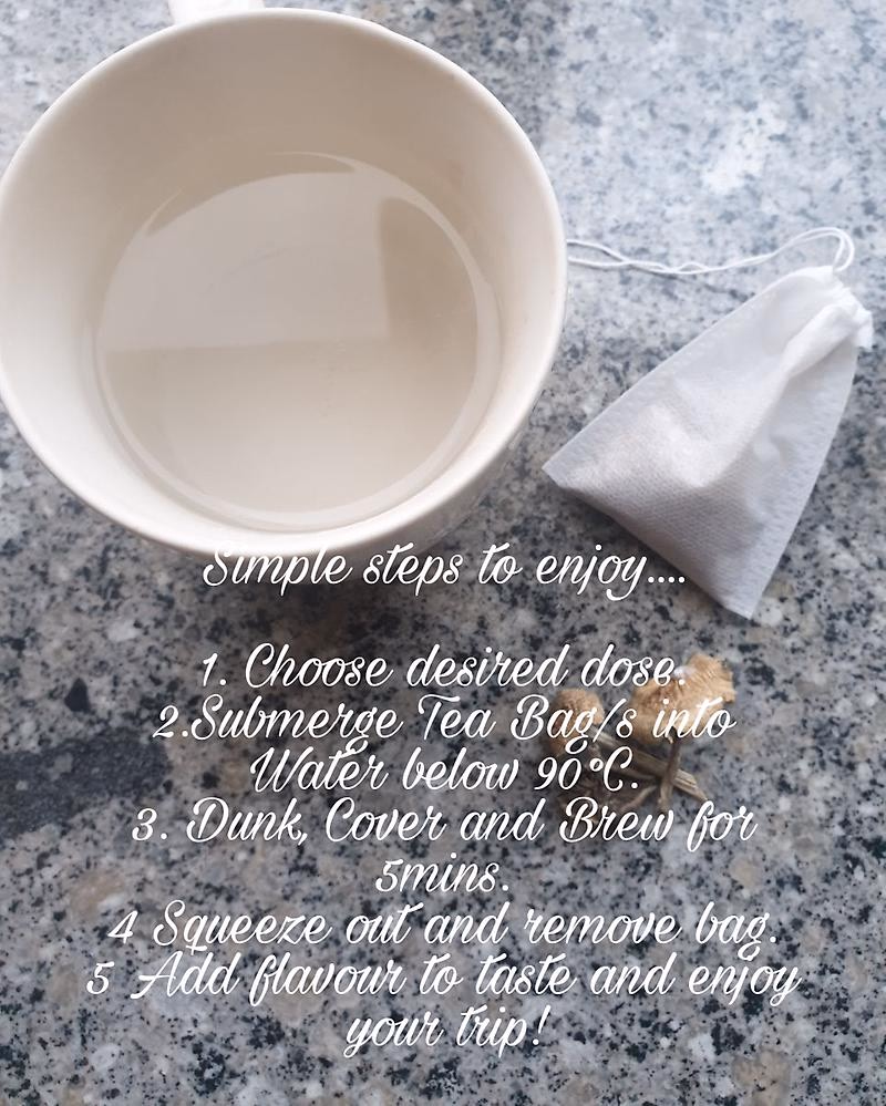 Magic Mushroom Tea Bags Organic