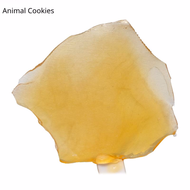 Shatter 3