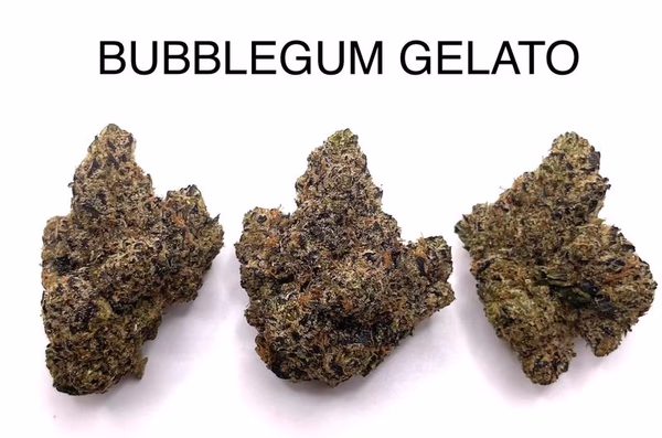 BUBBLEGUM GELATO