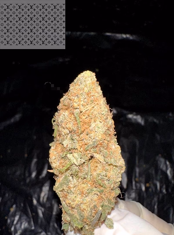 ZUSHI (ZKITTLEZ X KUSHMINTZ 11)