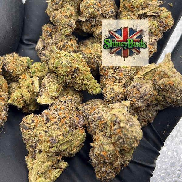 🇺🇸 Lemonatti CONNECTED CANNABIS
