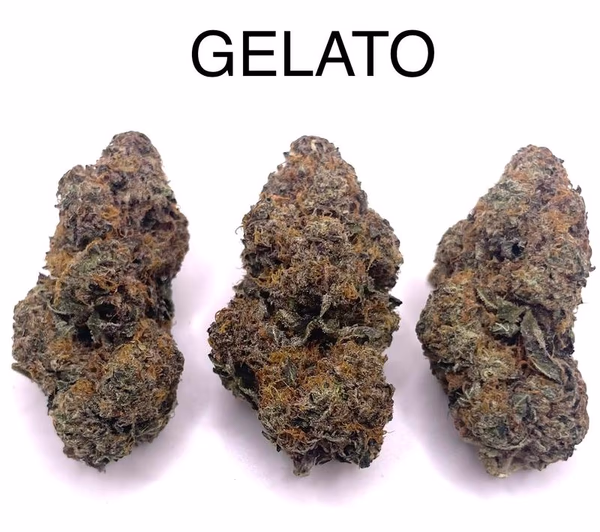 GELATO