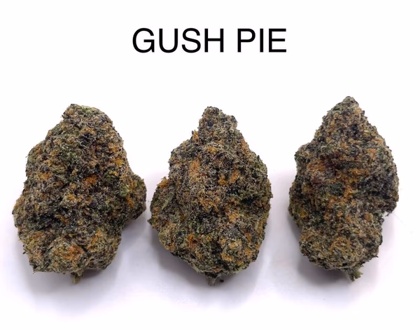 GUSH PIE
